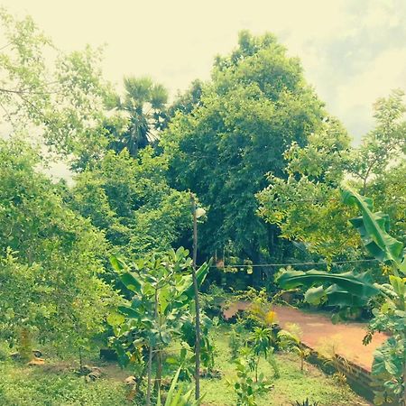 Oleena Home Stay Habarana Bagian luar foto
