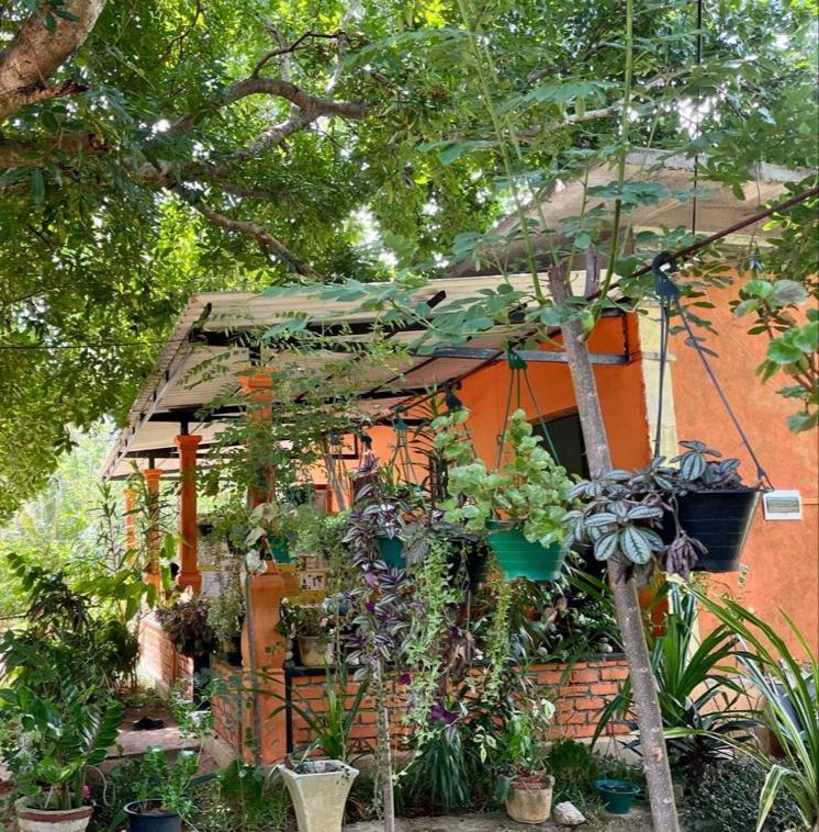 Oleena Home Stay Habarana Bagian luar foto