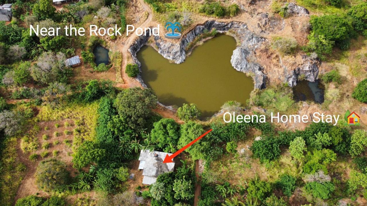 Oleena Home Stay Habarana Bagian luar foto