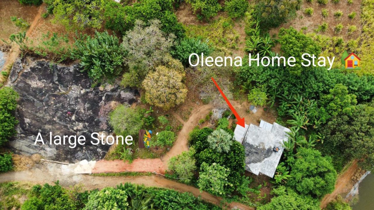 Oleena Home Stay Habarana Bagian luar foto