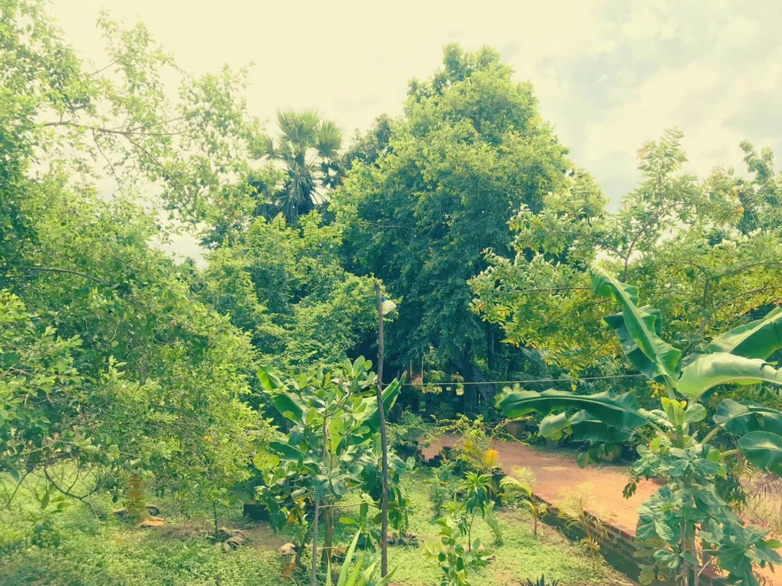 Oleena Home Stay Habarana Bagian luar foto