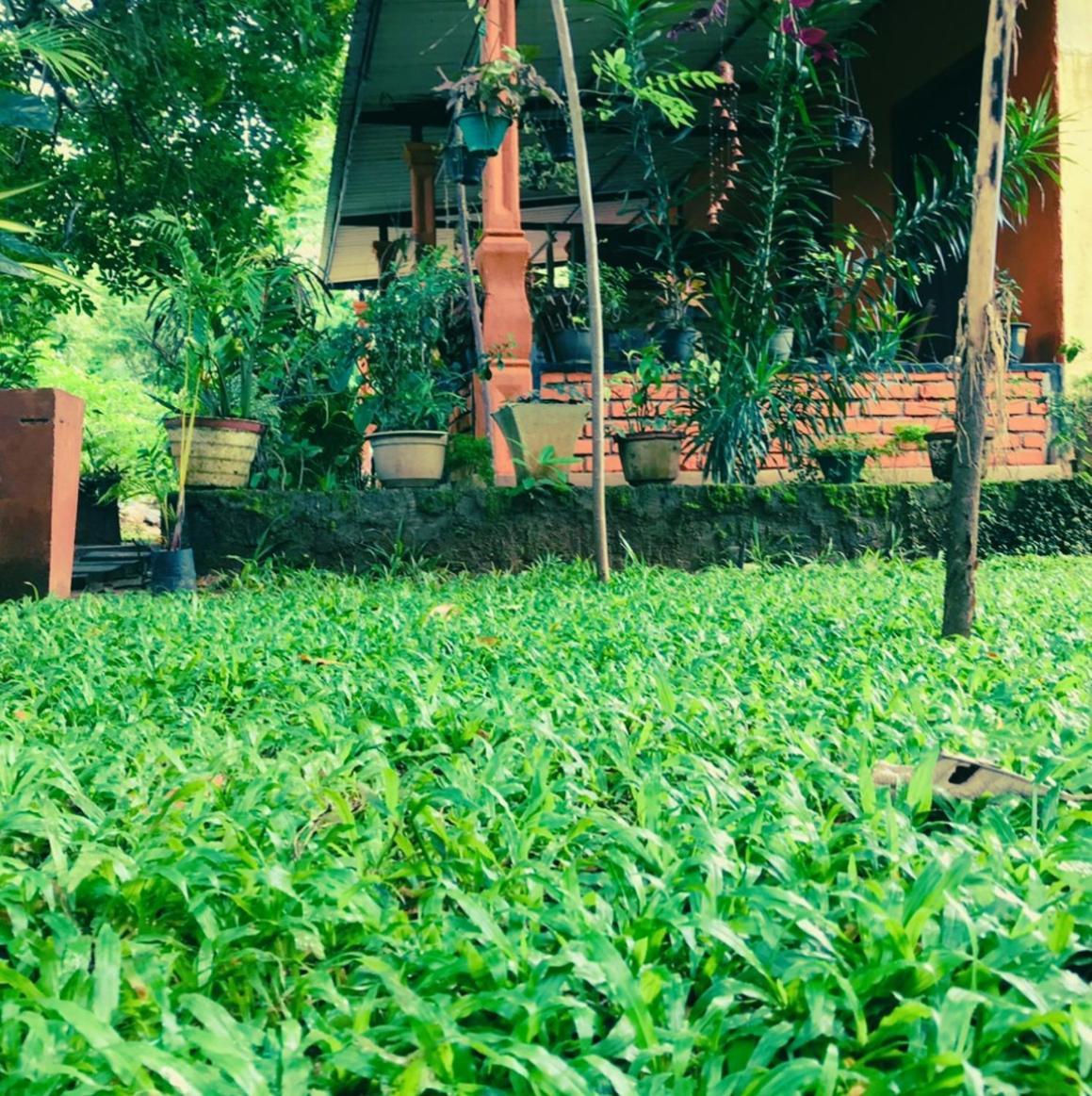 Oleena Home Stay Habarana Bagian luar foto