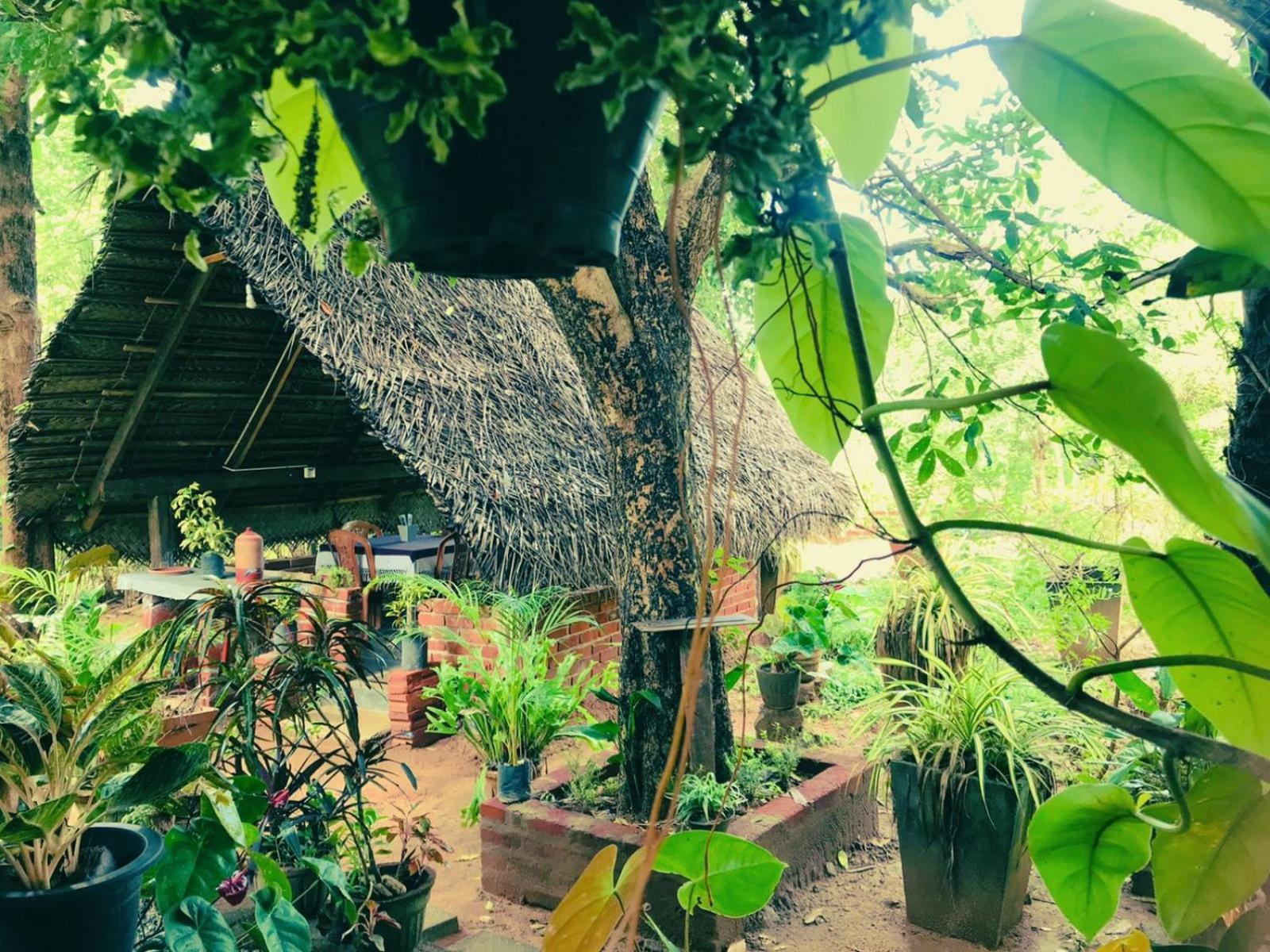 Oleena Home Stay Habarana Bagian luar foto