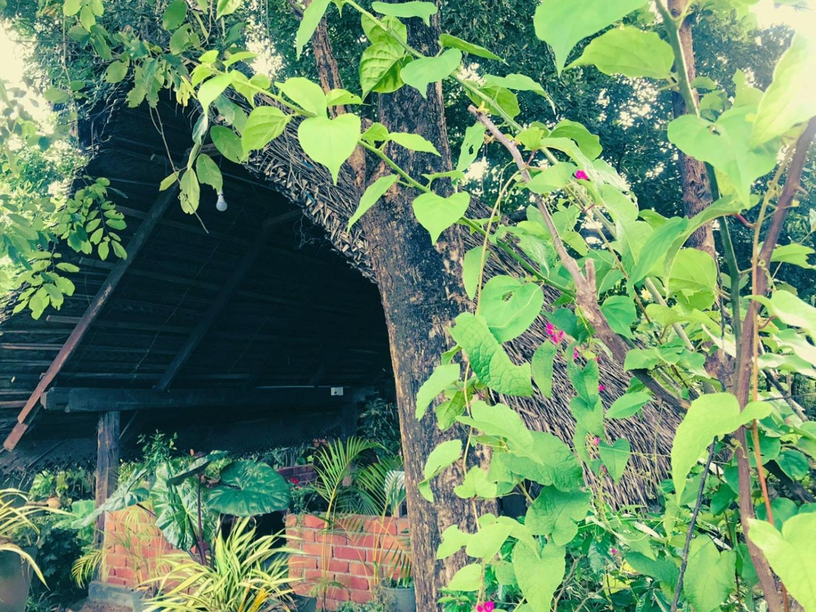 Oleena Home Stay Habarana Bagian luar foto